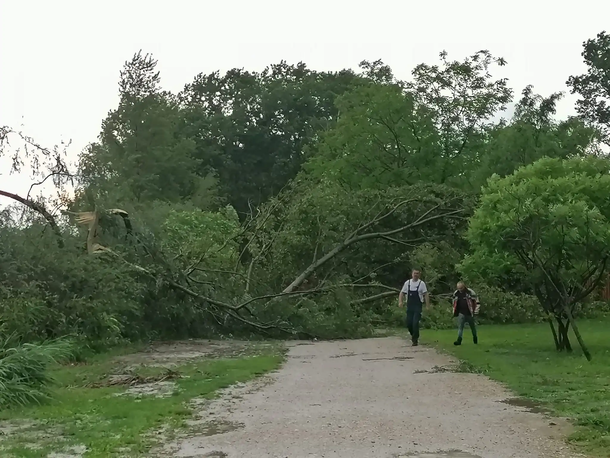 Marina Prelog nevrijeme šteta 2024 (1)