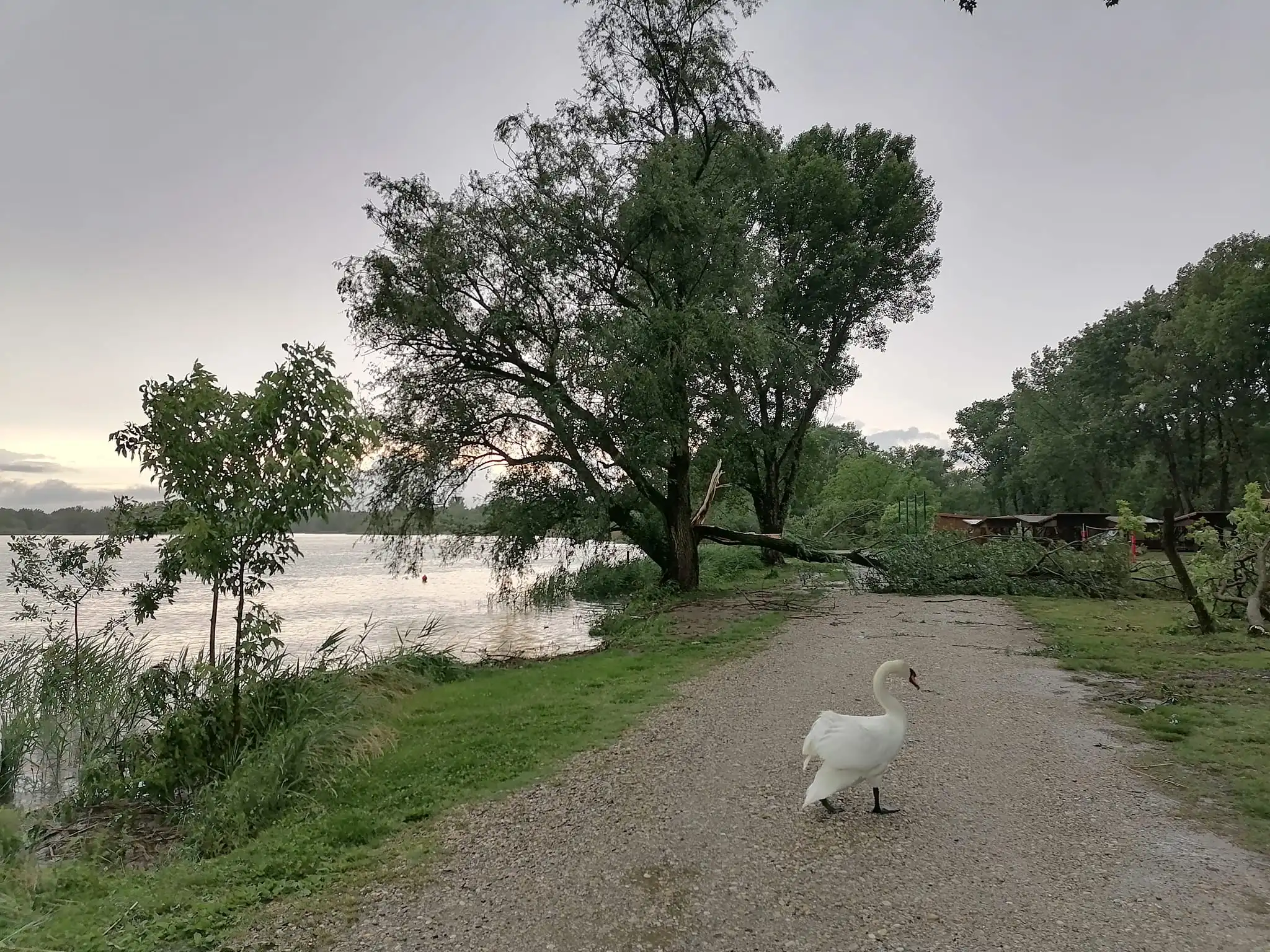 Marina Prelog nevrijeme šteta 2024 (10)