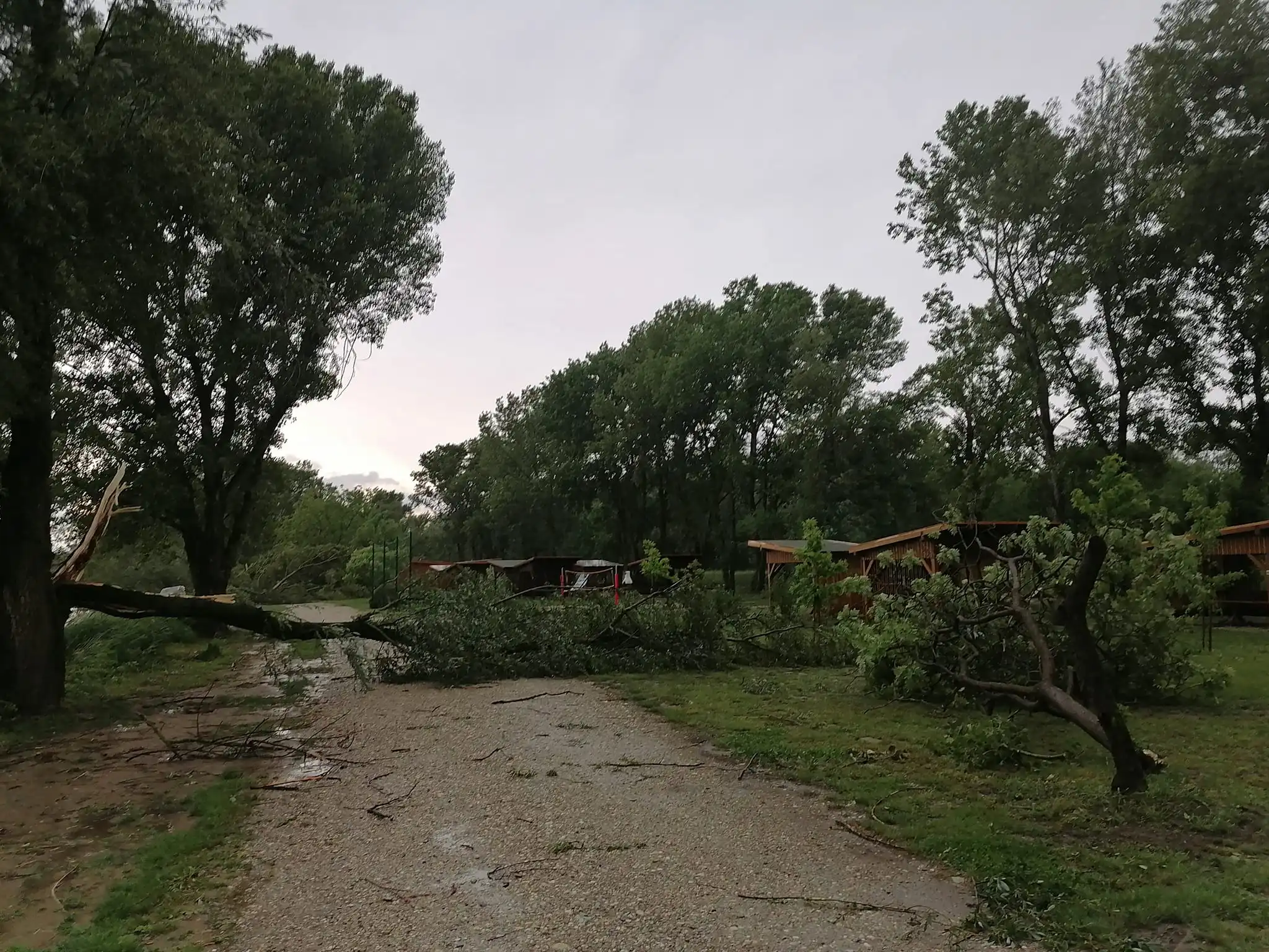 Marina Prelog nevrijeme šteta 2024 (2)