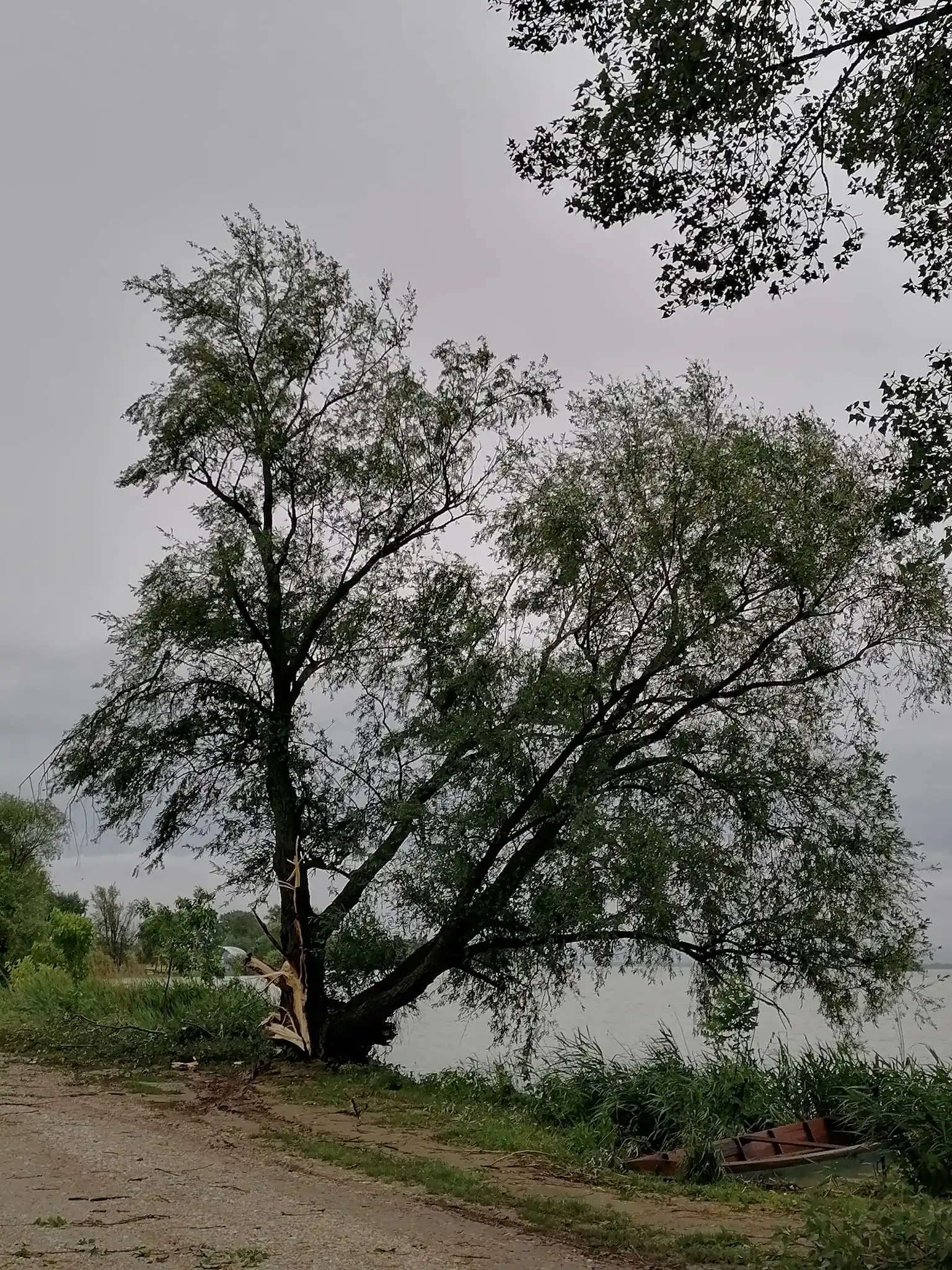 Marina Prelog nevrijeme šteta 2024 (4)