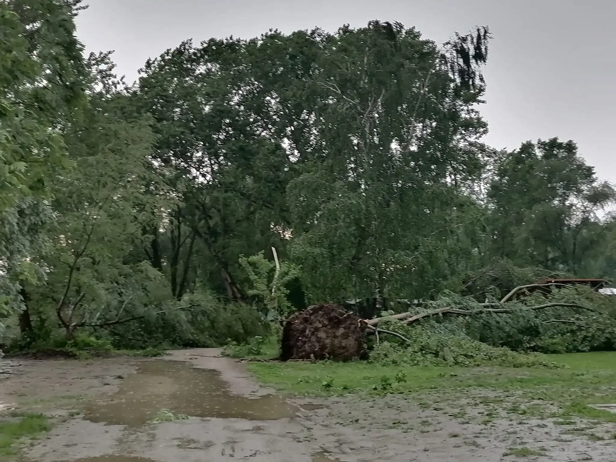 Marina Prelog nevrijeme šteta 2024 (9)