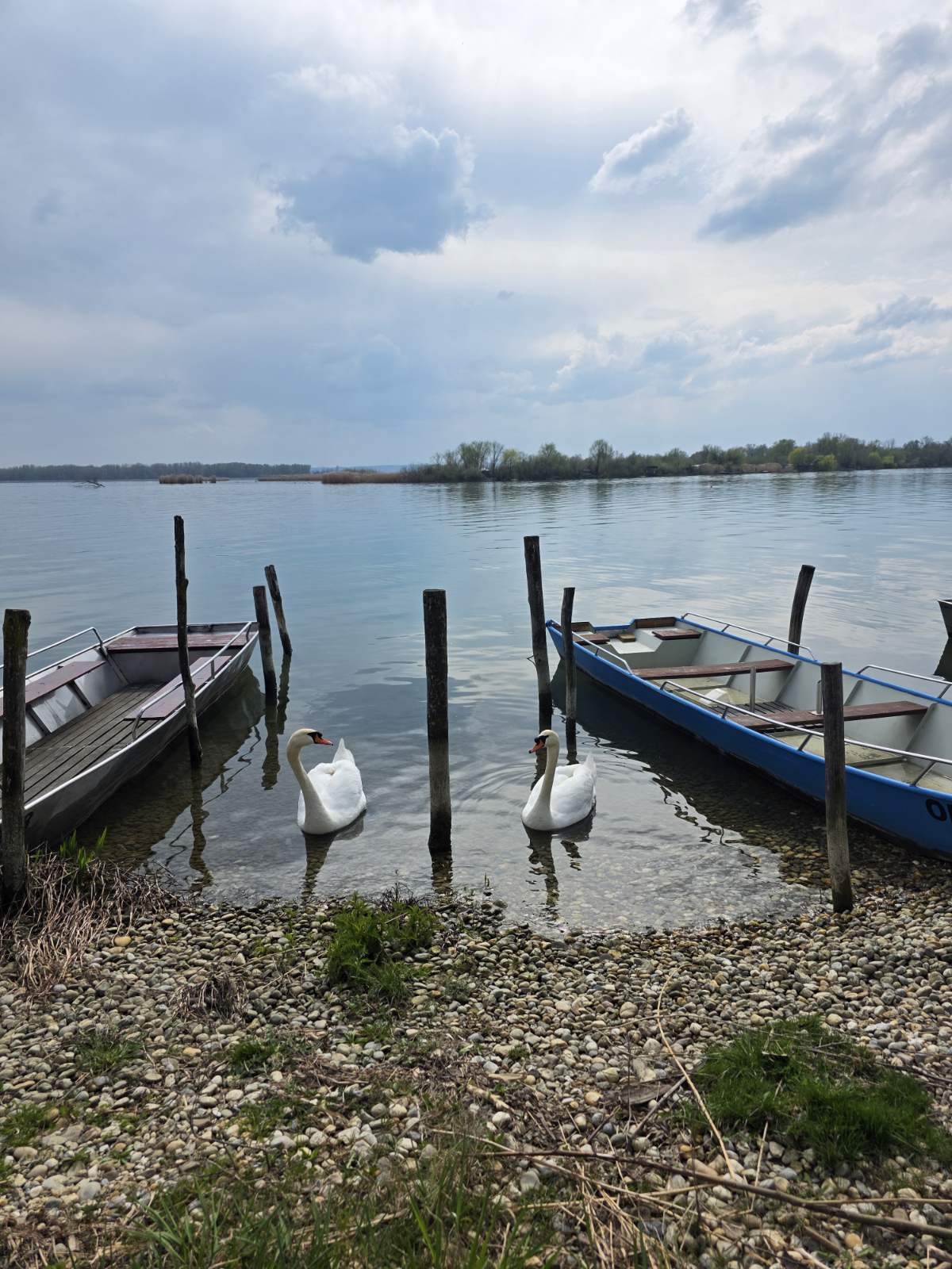 Marina Prelog priroda (1) Marina Prelog priroda (1)