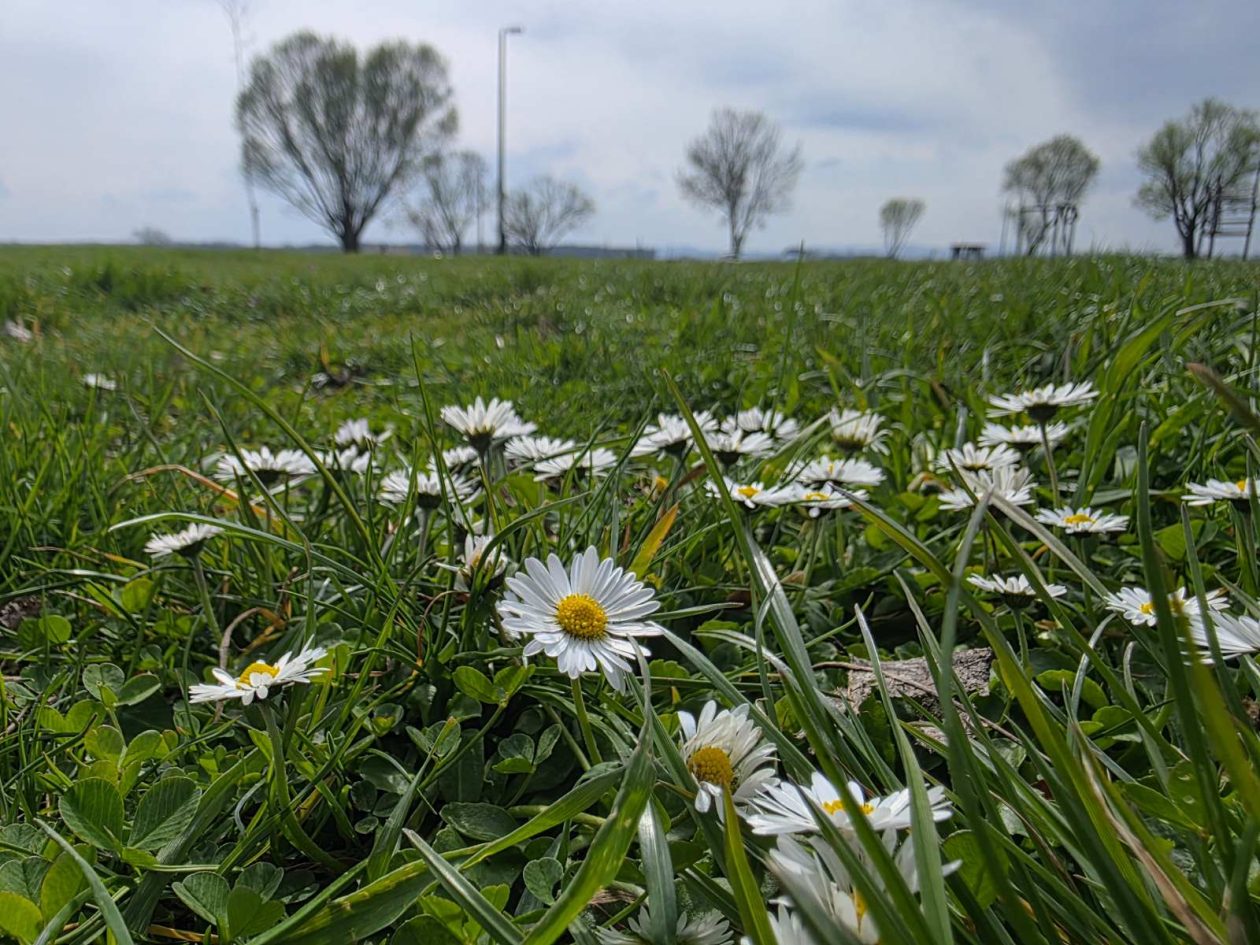 Marina Prelog priroda (5) Marina Prelog priroda (5)