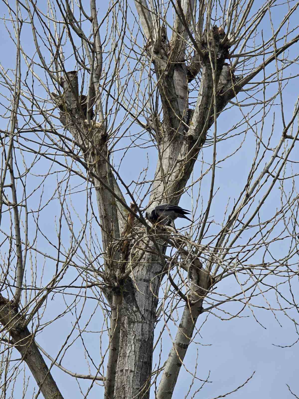 Marina Prelog priroda (6) Marina Prelog priroda (6)