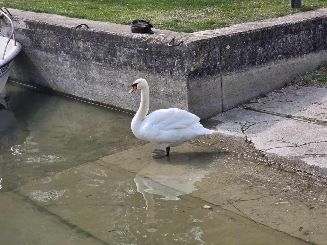 Marina Prelog priroda (7) Marina Prelog priroda (7)