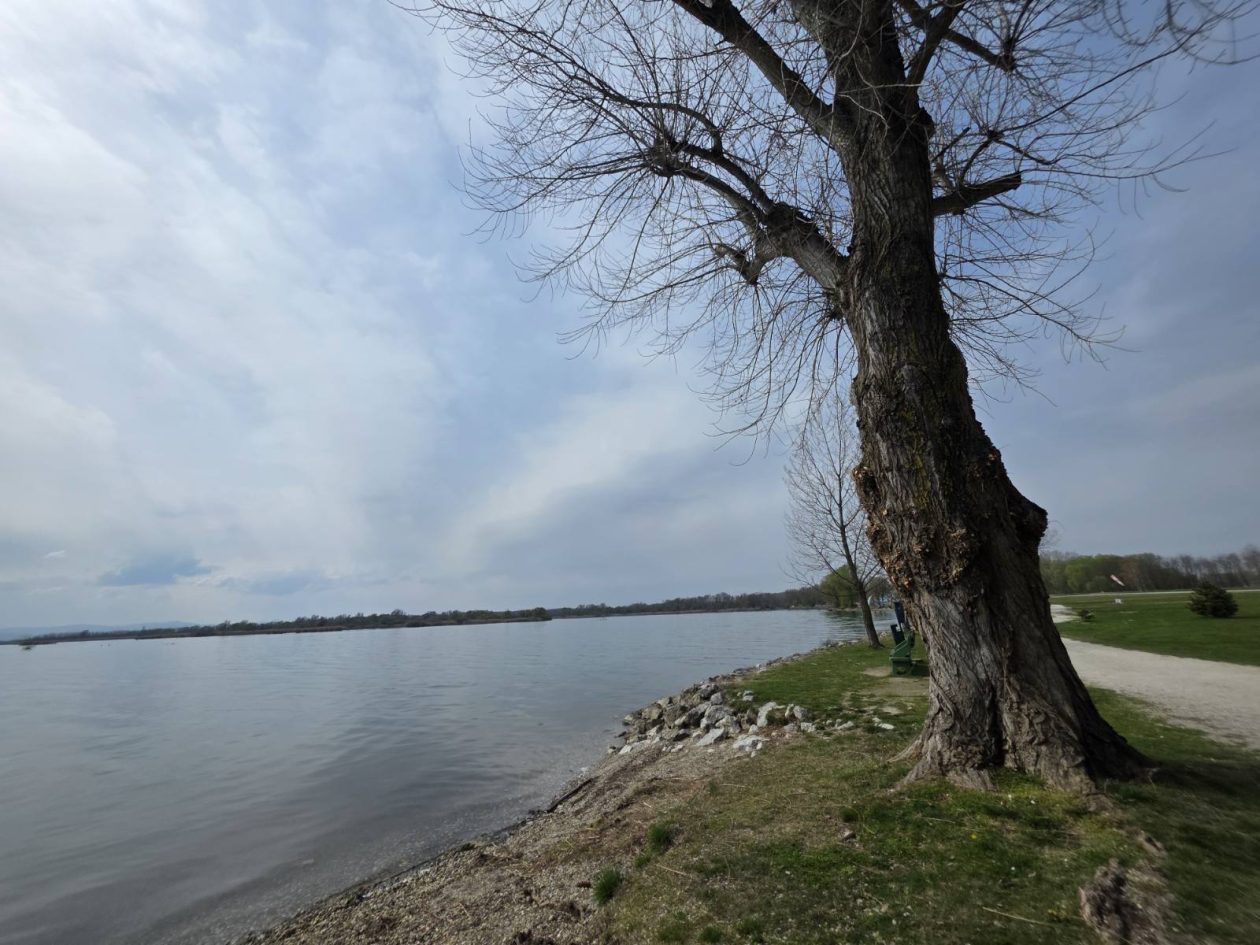 Marina Prelog priroda (9) Marina Prelog priroda (9)