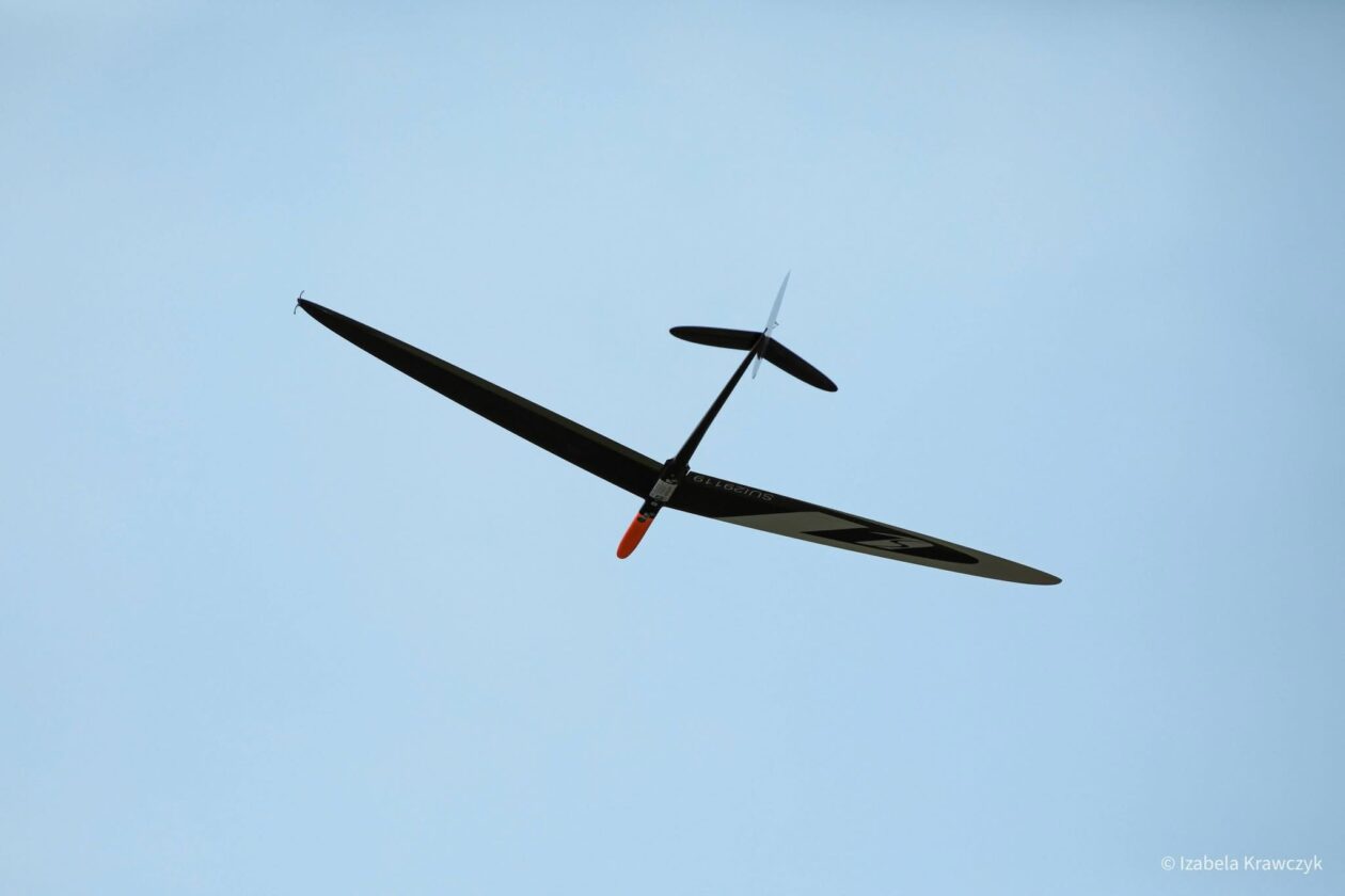 Marko Damjanović (4)