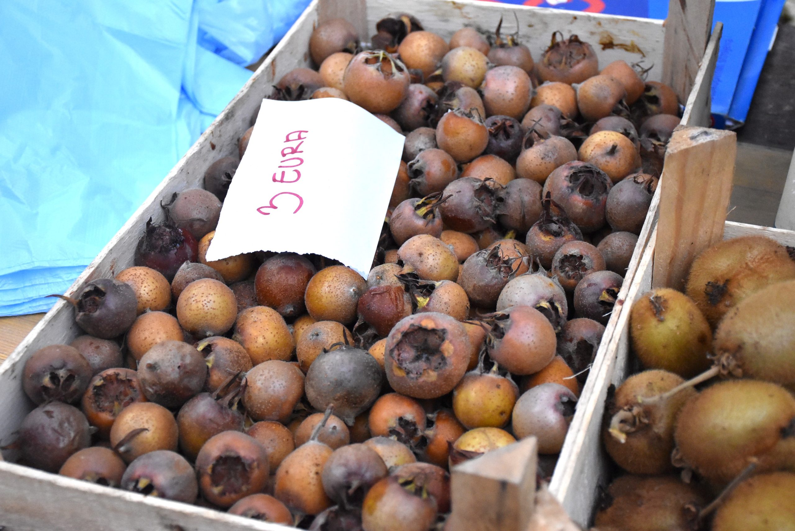 Marko Stanojlović (11) Marko Stanojlović (11)