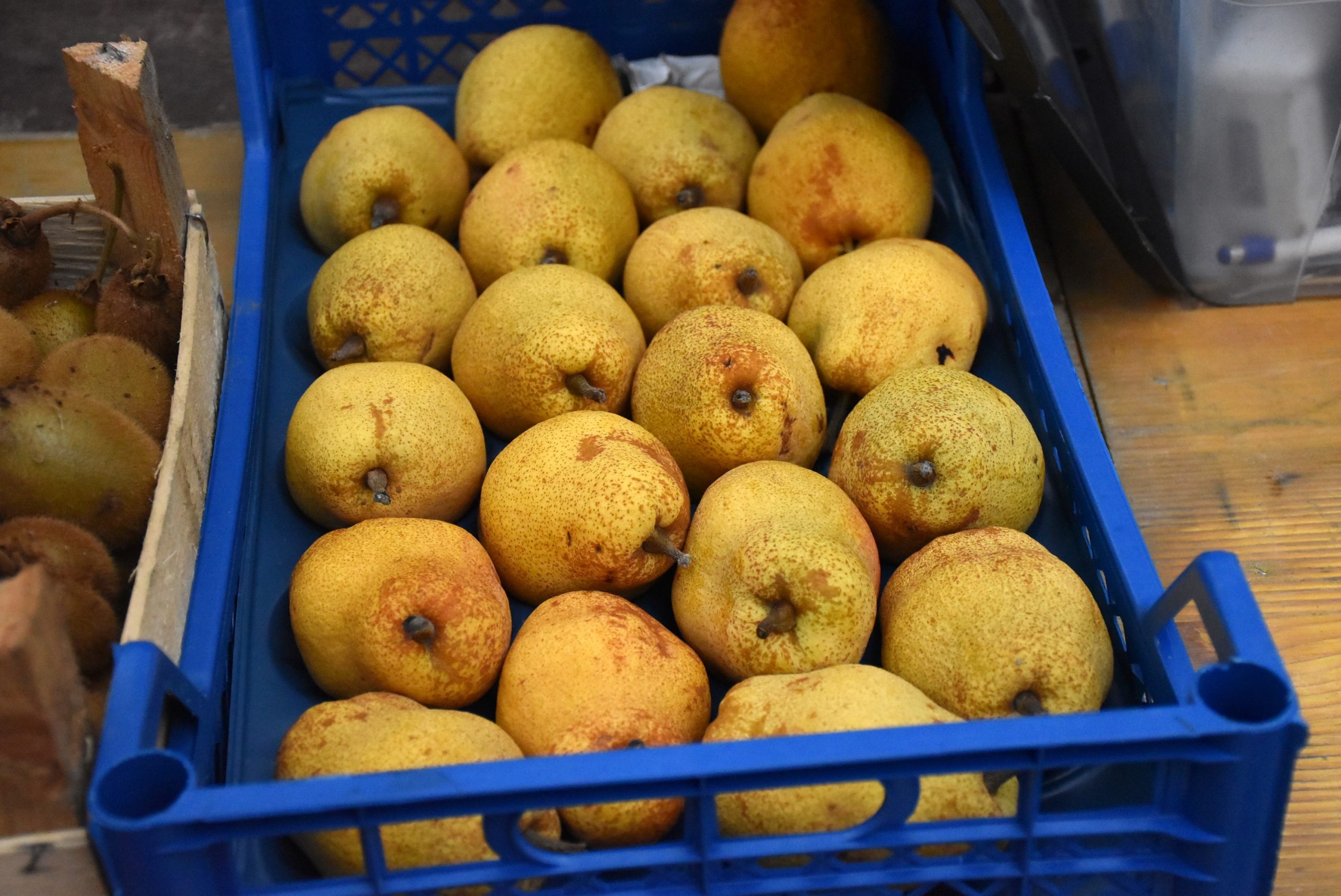 Marko Stanojlović (8) Marko Stanojlović (8)