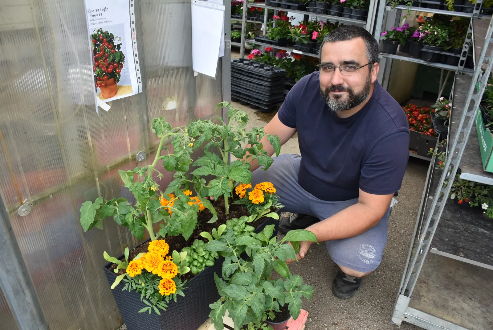 Martin Hendelja, OPG Šupljika, cvijeće (4)