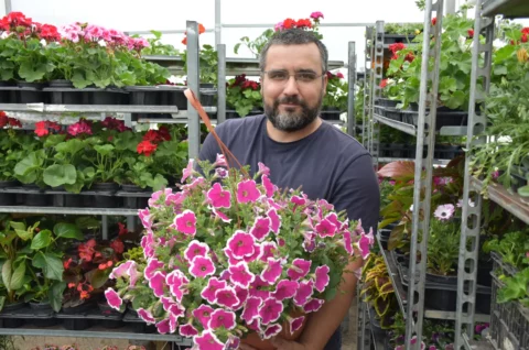 Martin Hendelja, OPG Šupljika, cvijeće (5)