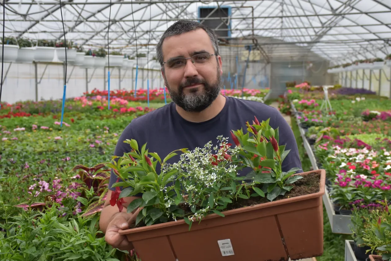 Martin Hendelja, OPG Šupljika, cvijeće (8)