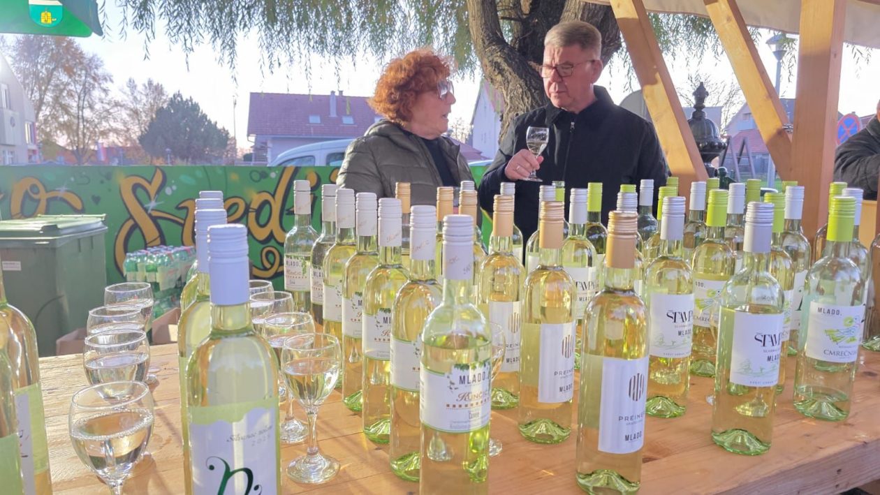 Martinje Mursko Središće 2025 (12)