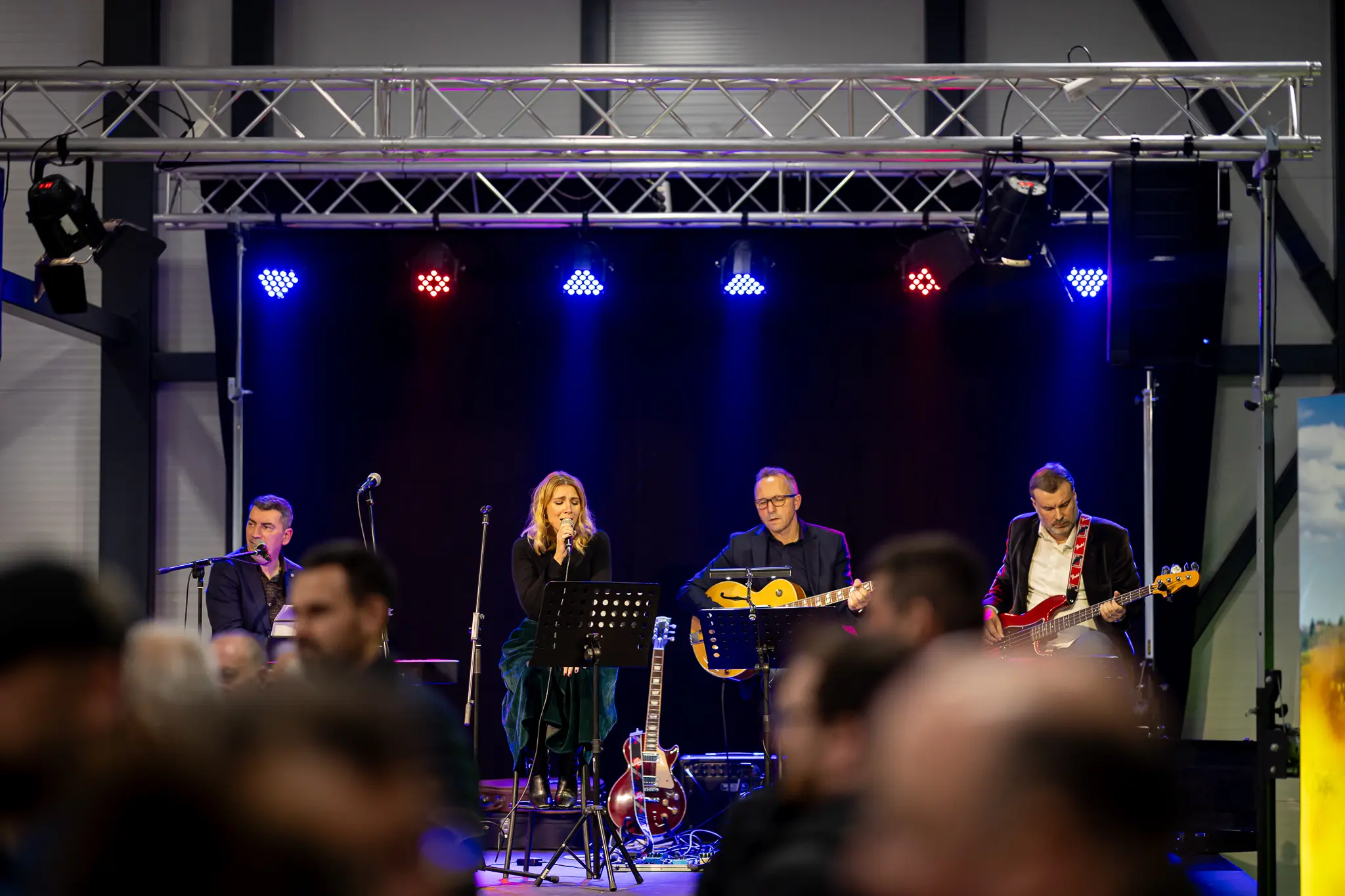 Martinje u Štrigovi 2024 (1) Martinje u Štrigovi 2024 (1)