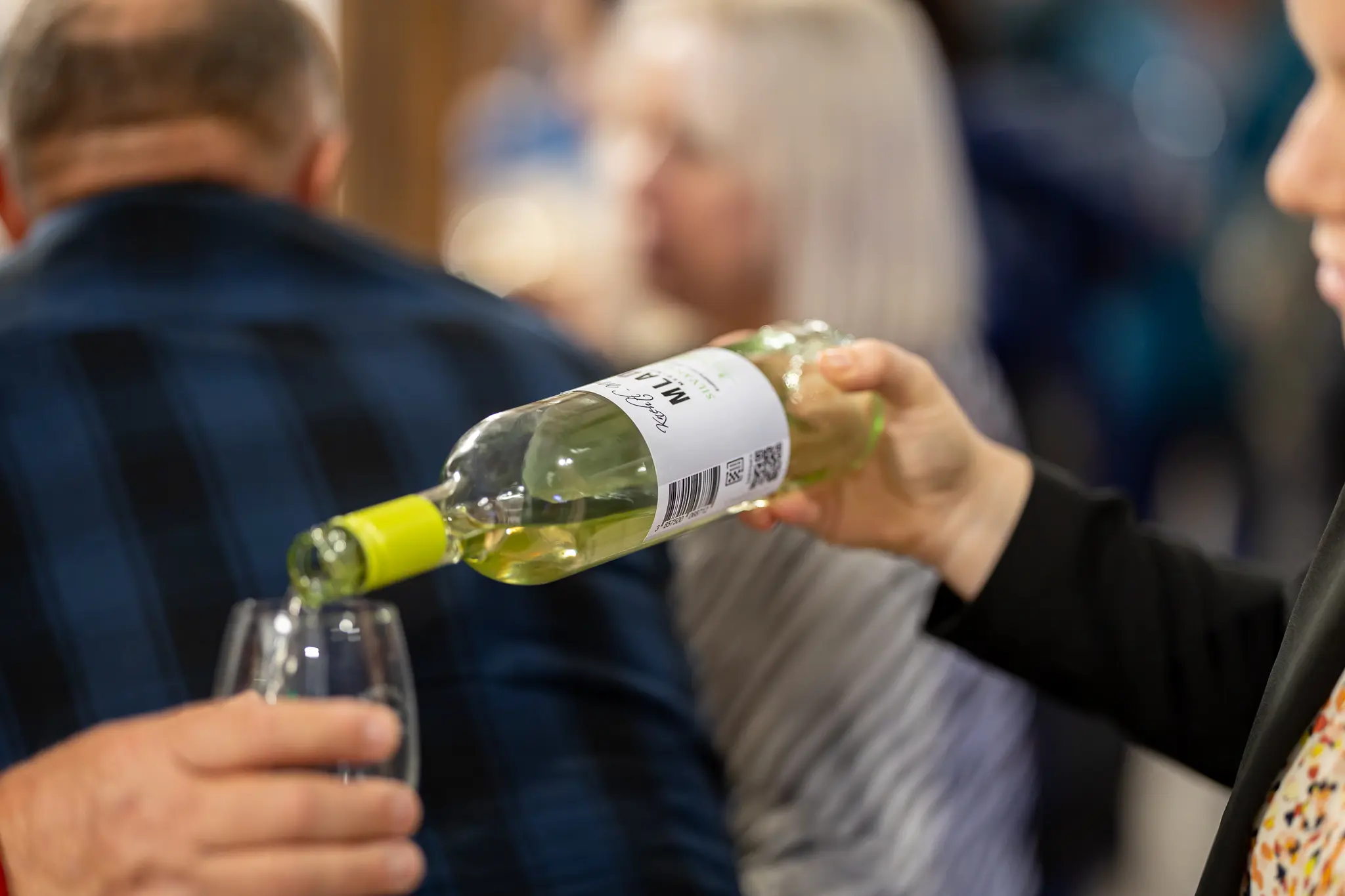 Martinje u Štrigovi 2024 (3) Martinje u Štrigovi 2024 (3)