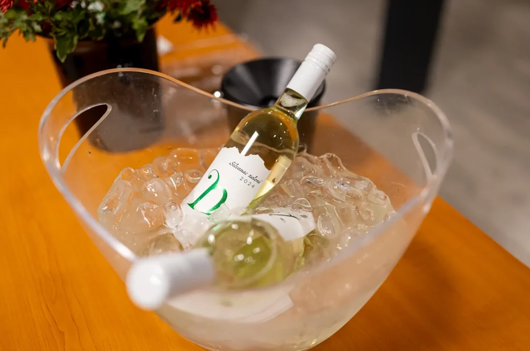 Martinje u Štrigovi 2024 (47)