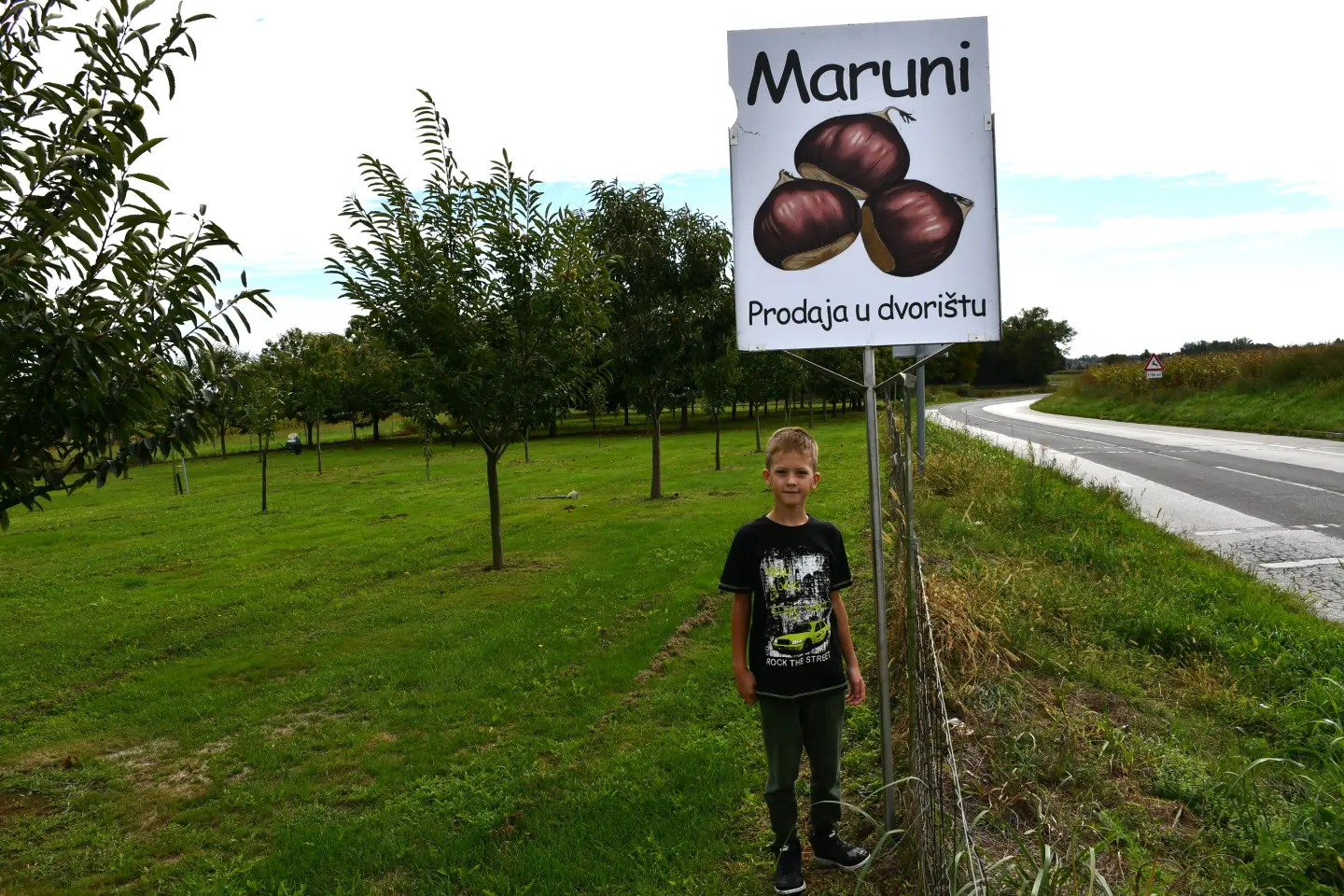 Maruni Frančić, Peklenica, berba, jesen (10)