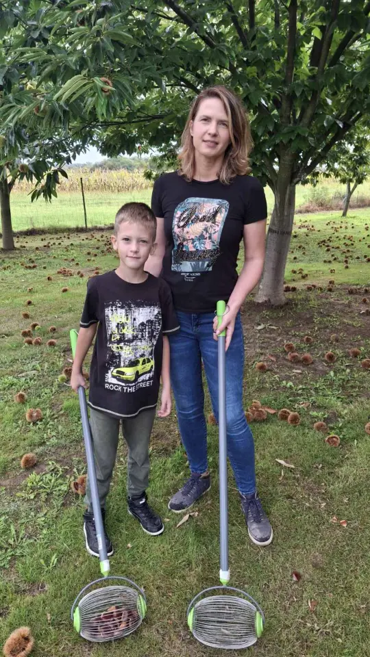 Maruni Frančić, Peklenica, berba, jesen (11)