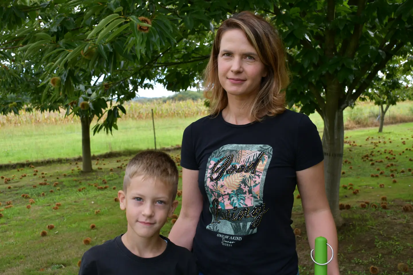 Maruni Frančić, Peklenica, berba, jesen (6)