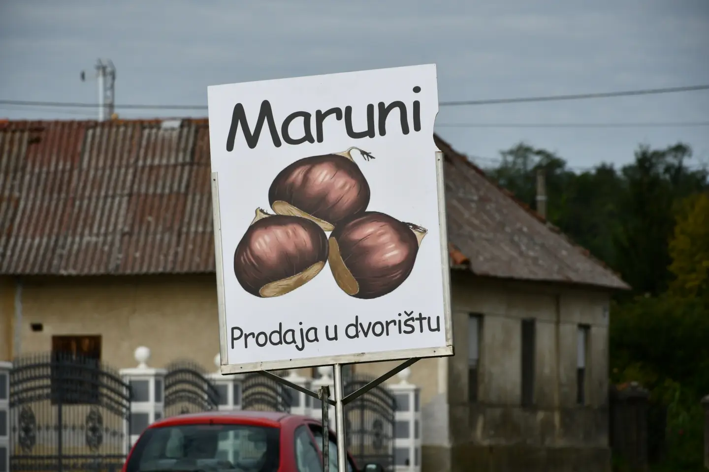 Maruni Frančić, Peklenica, berba, jesen (7)