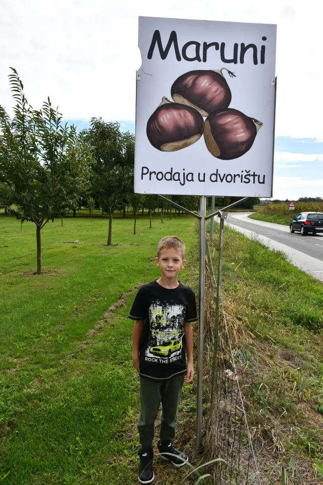 Maruni Frančić, Peklenica, berba, jesen (9)