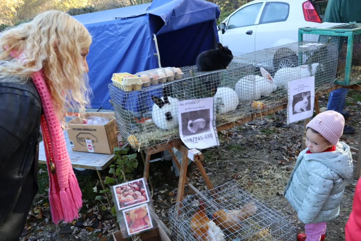 Maša Hrustek Sobočan, prešetavanja i premišljavanja, sajam, 5.11.2025 (21)