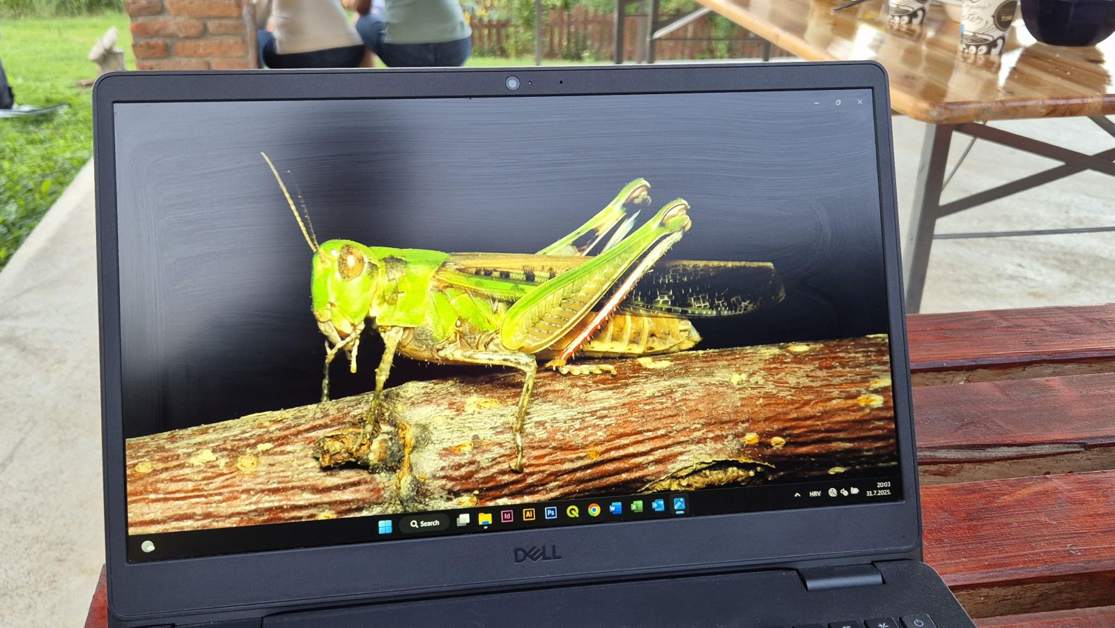 Matulov grunt svjetski dan rendđera 2025 (14)