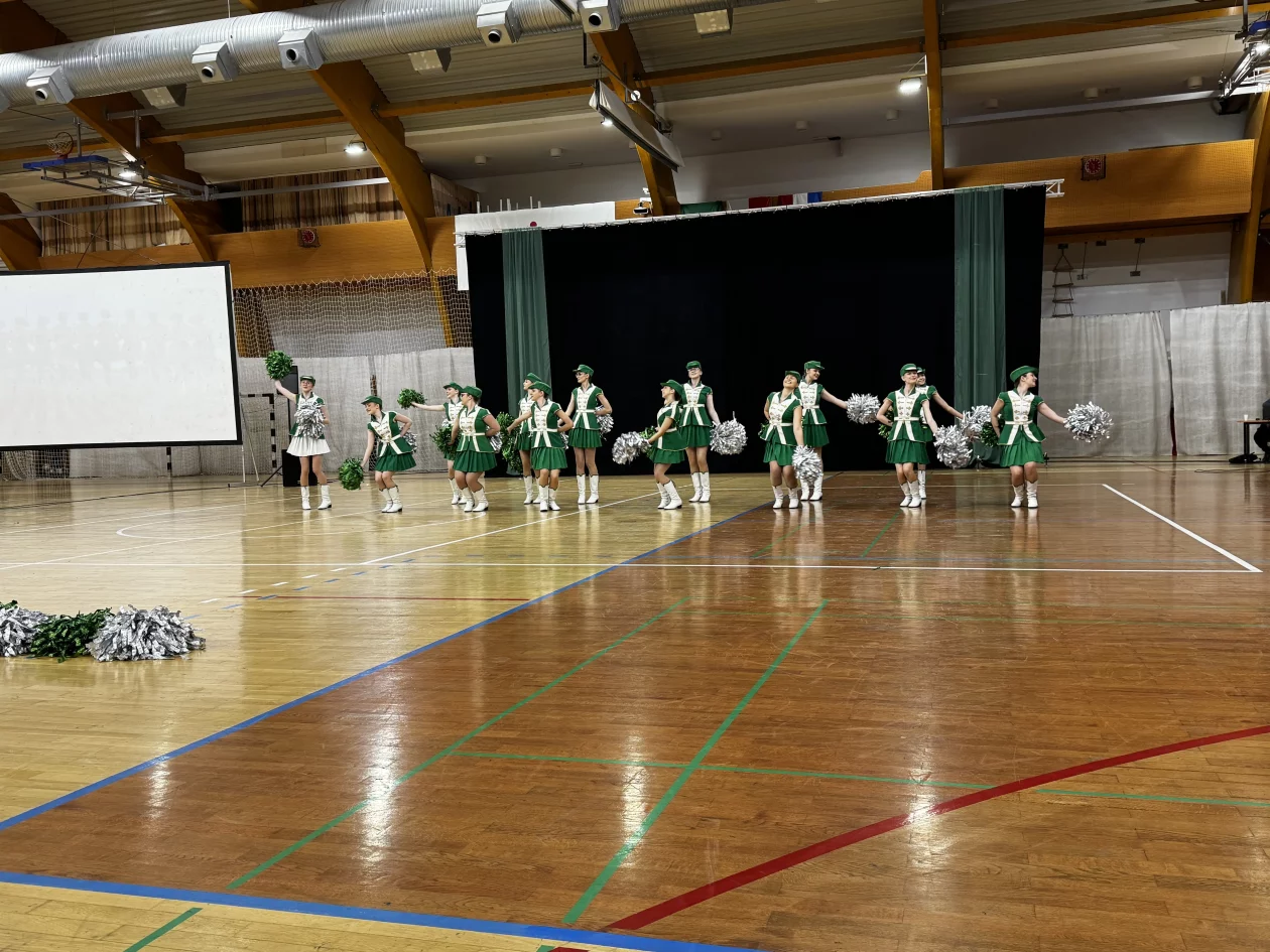 Mažoretkinje nedelišće (55) Mažoretkinje nedelišće (55)