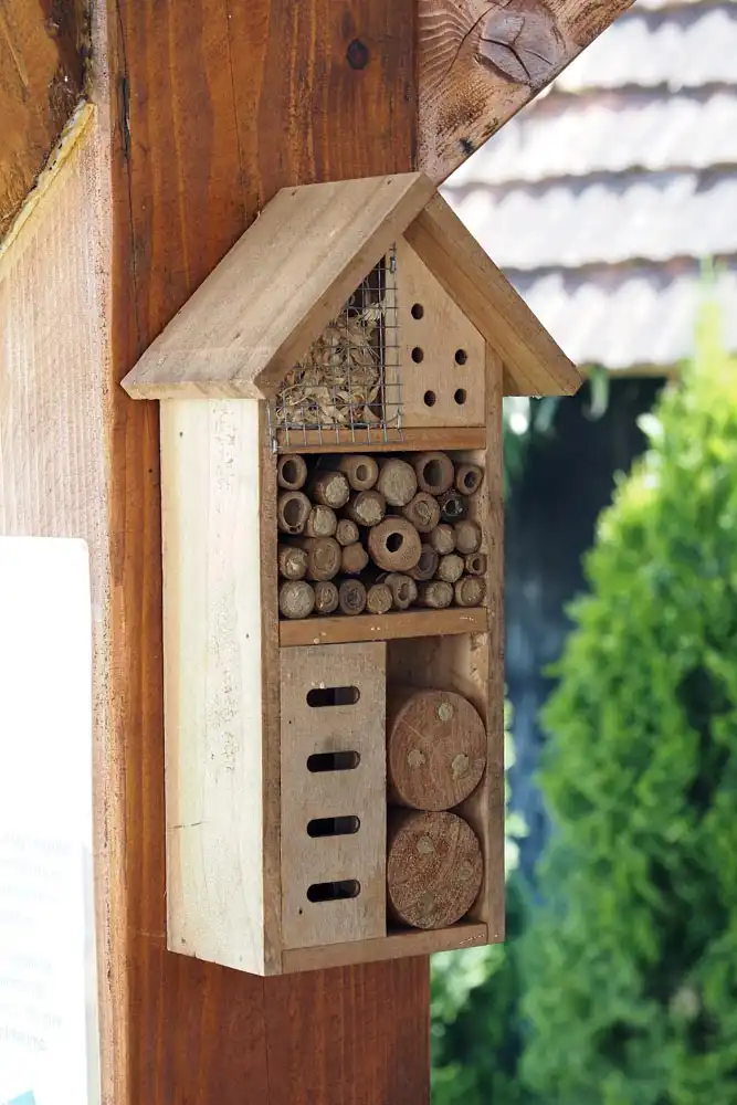 Med dvemi vodami (2)