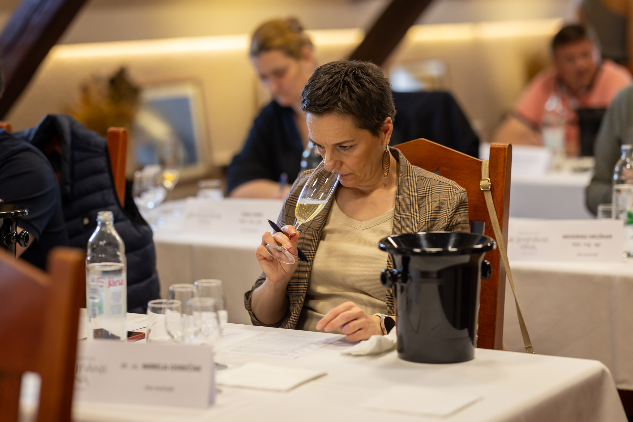 Međ. ocjenjivanje vina _ utorak 10