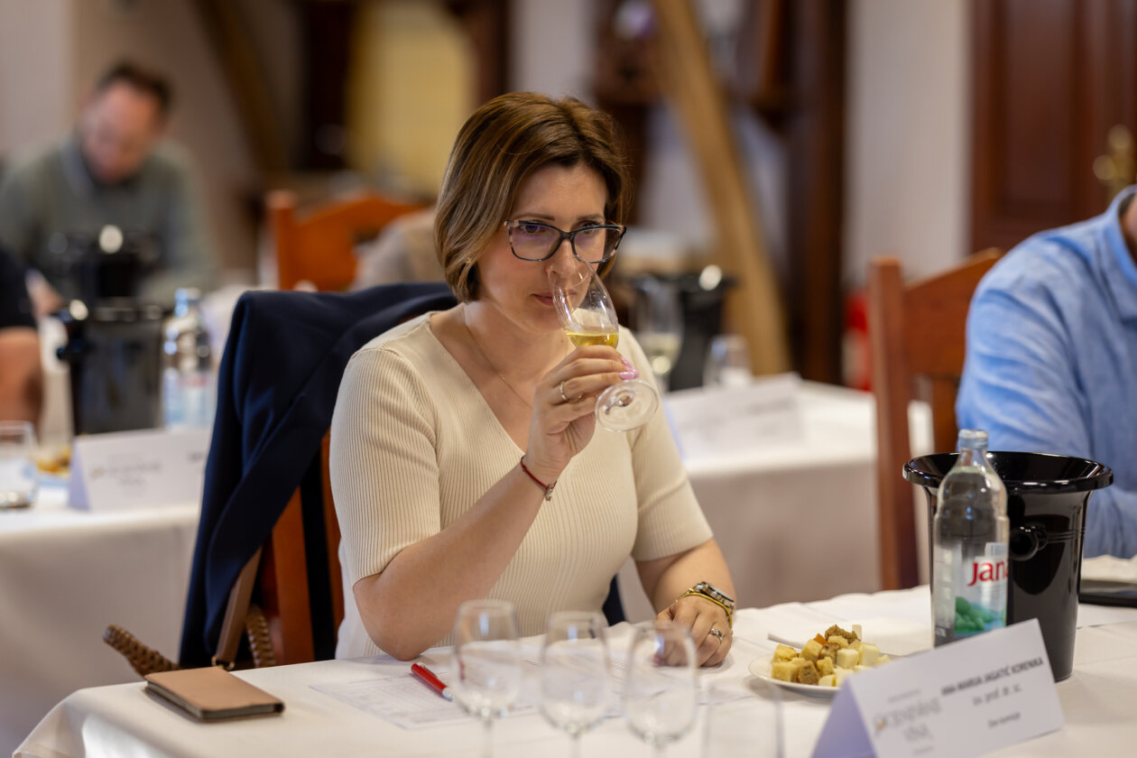 Međ. ocjenjivanje vina _ utorak 13 Međ. ocjenjivanje vina _ utorak 13