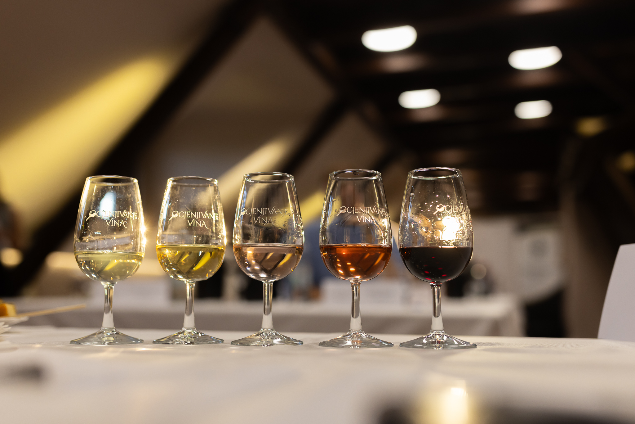 Međ. ocjenjivanje vina _ utorak 29