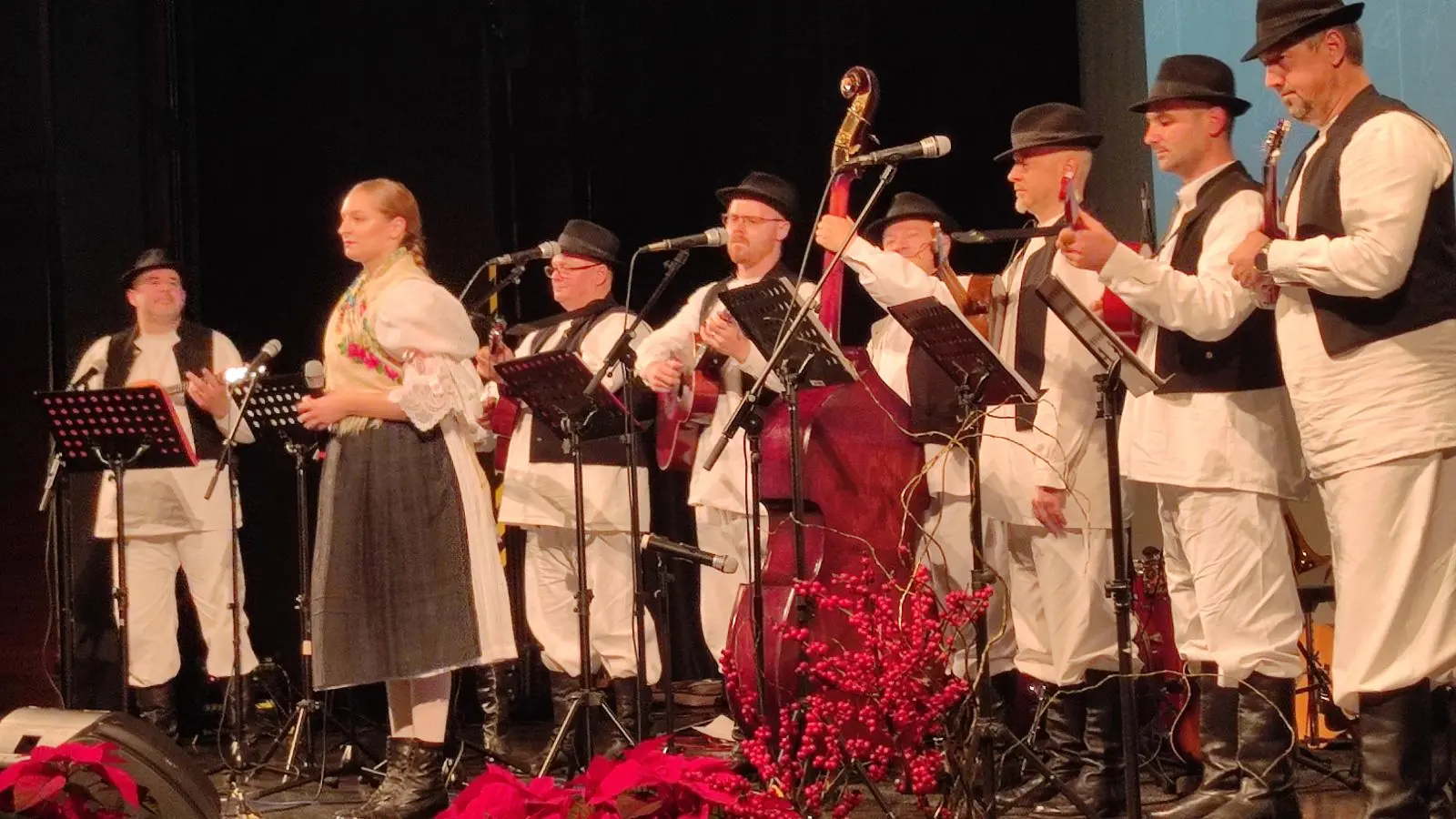 Međimurska popevka, Županija (12)