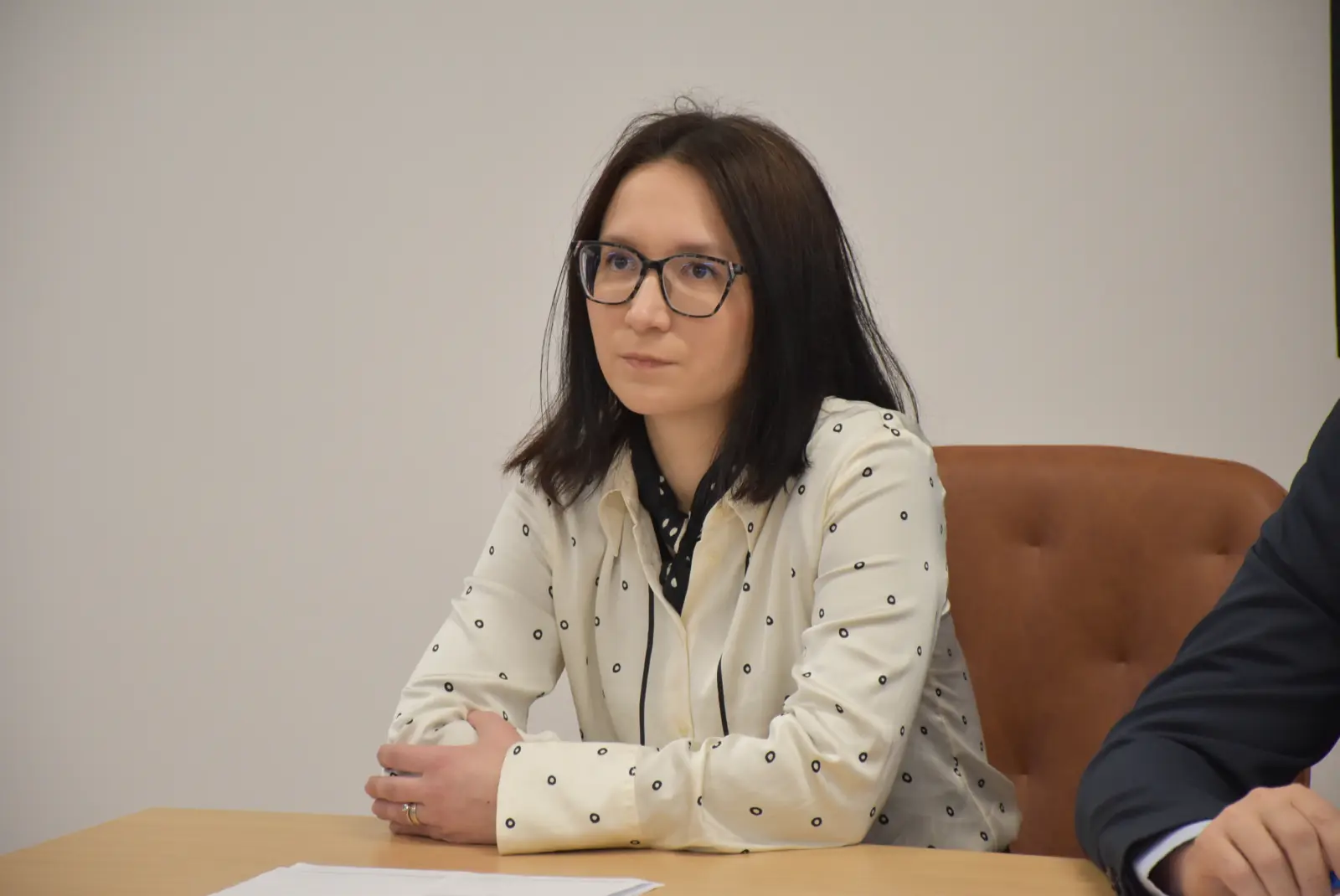 Međimurska županija (6)