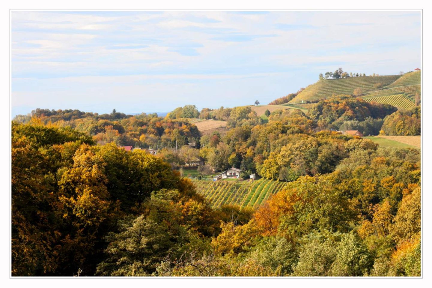 Međimurski bregi – robadje, sveti urban, štrigova – jesen 2025 (11)