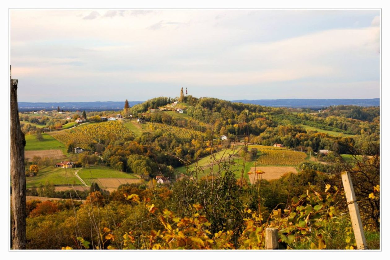 Međimurski bregi – robadje, sveti urban, štrigova – jesen 2025 (2) Međimurski bregi – robadje, sveti urban, štrigova – jesen 2025 (2)