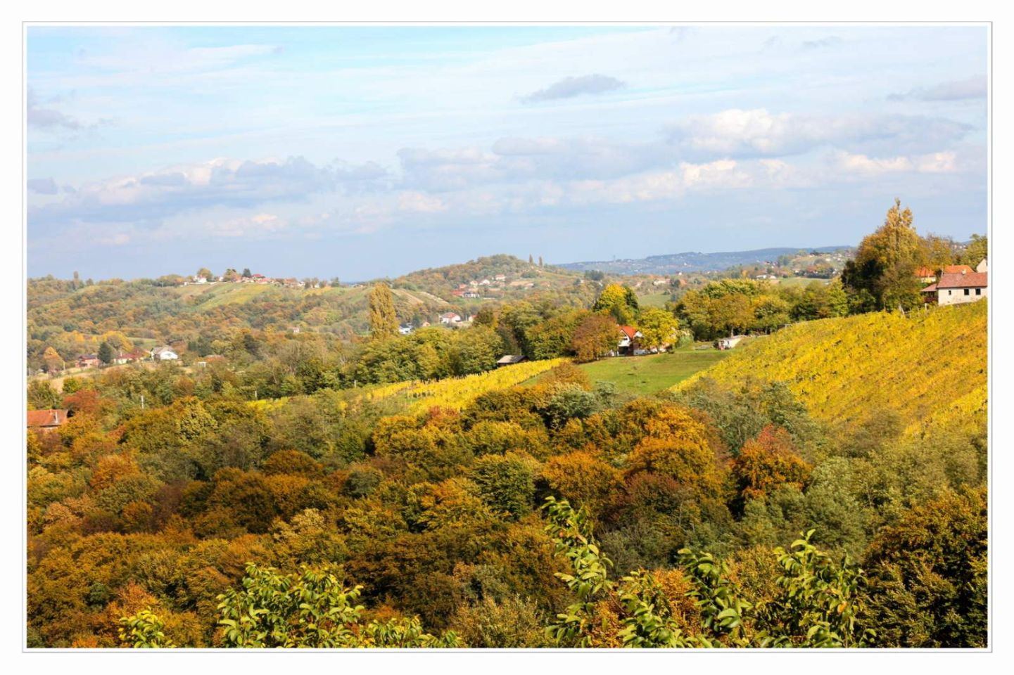 Međimurski bregi – robadje, sveti urban, štrigova – jesen 2025 (3)