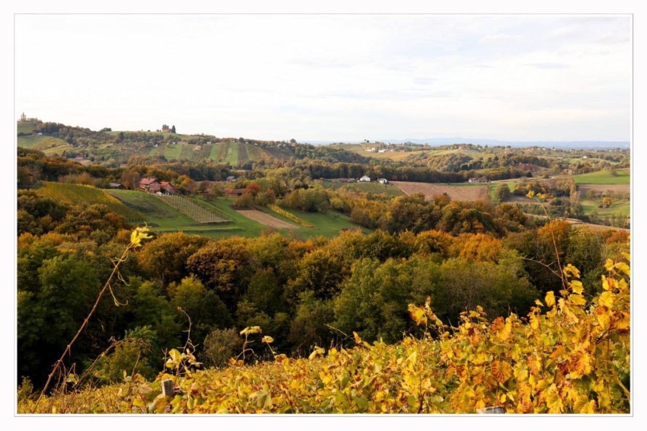 Međimurski bregi – robadje, sveti urban, štrigova – jesen 2025 (4) Međimurski bregi – robadje, sveti urban, štrigova – jesen 2025 (4)