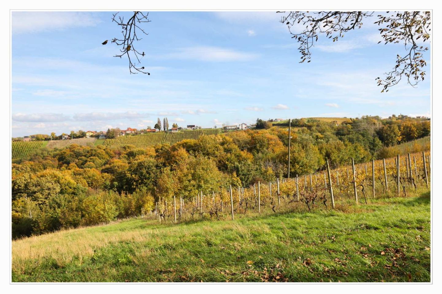 Međimurski bregi – robadje, sveti urban, štrigova – jesen 2025 (6)