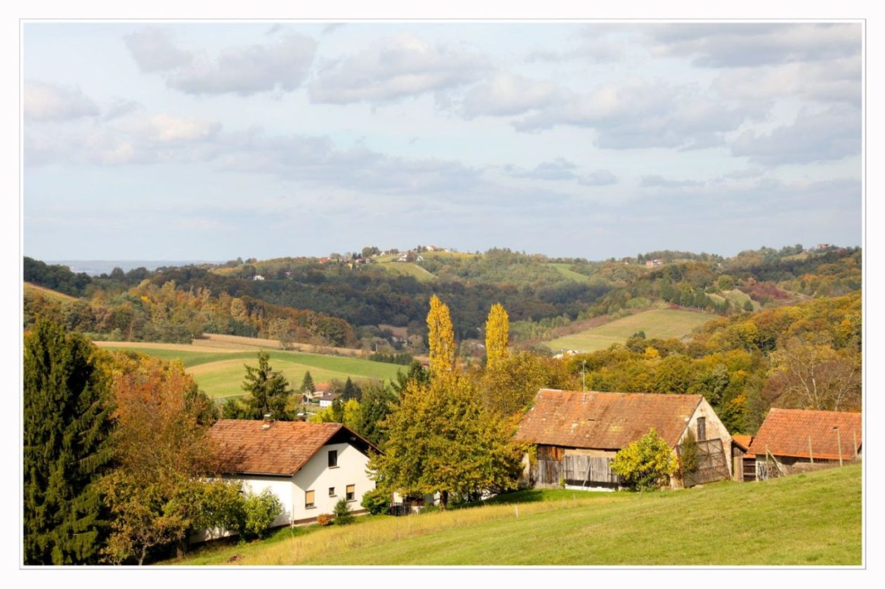 Međimurski bregi – robadje, sveti urban, štrigova – jesen 2025 (7) Međimurski bregi – robadje, sveti urban, štrigova – jesen 2025 (7)