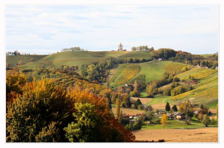 Međimurski bregi – robadje, sveti urban, štrigova – jesen 2025 (8)