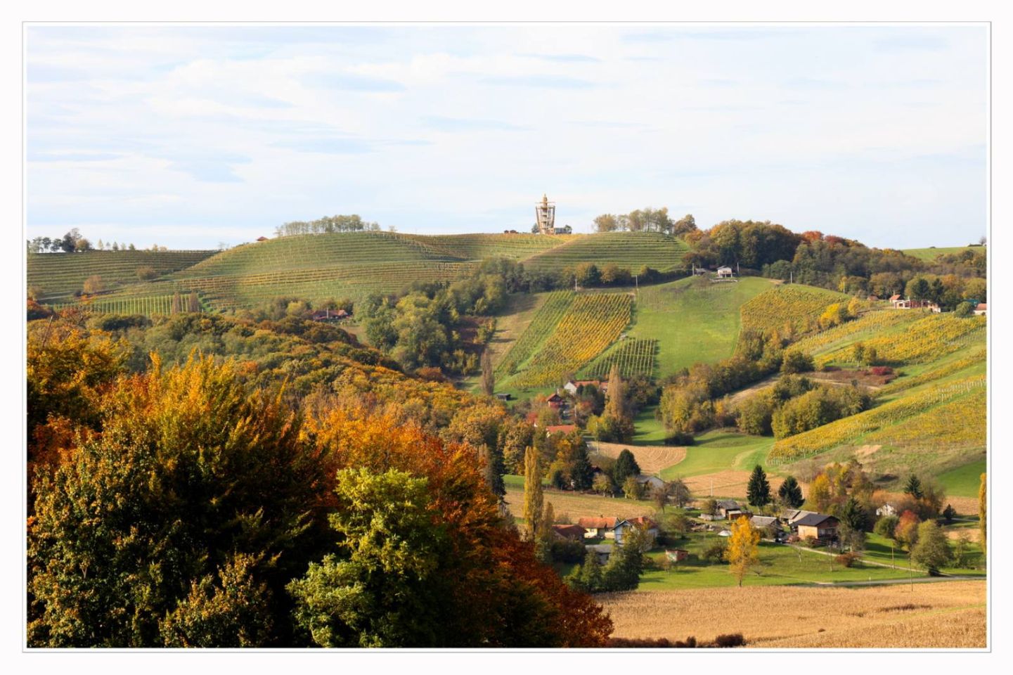 Međimurski bregi – robadje, sveti urban, štrigova – jesen 2025 (8)