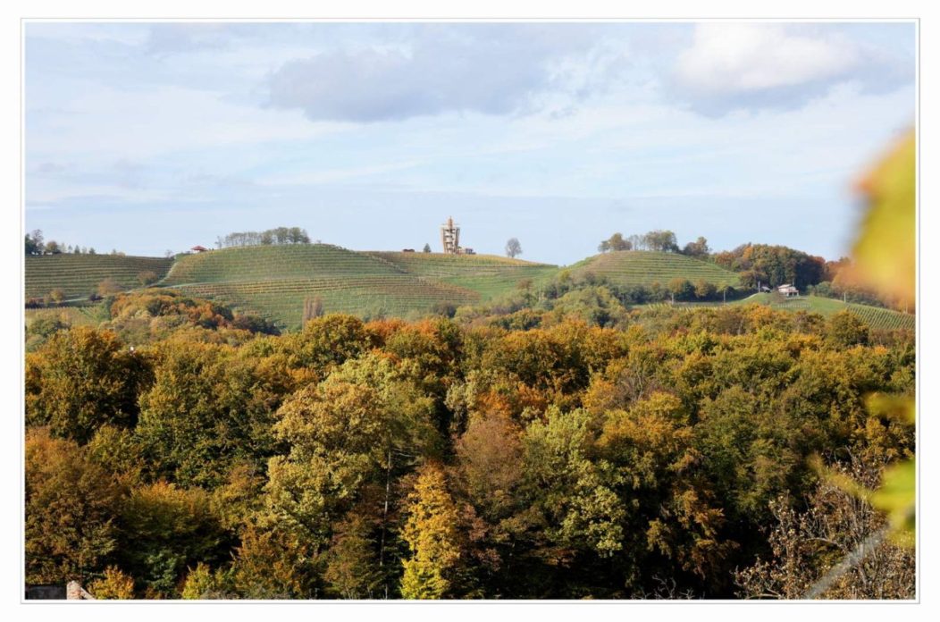 Međimurski bregi – robadje, sveti urban, štrigova – jesen 2025 (9)