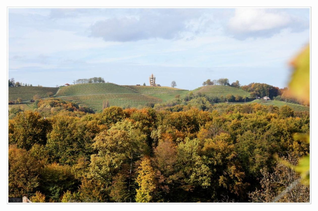 Međimurski bregi – robadje, sveti urban, štrigova – jesen 2025 (9) Međimurski bregi – robadje, sveti urban, štrigova – jesen 2025 (9)