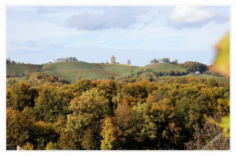 Međimurski bregi – robadje, sveti urban, štrigova – jesen 2025 (9)