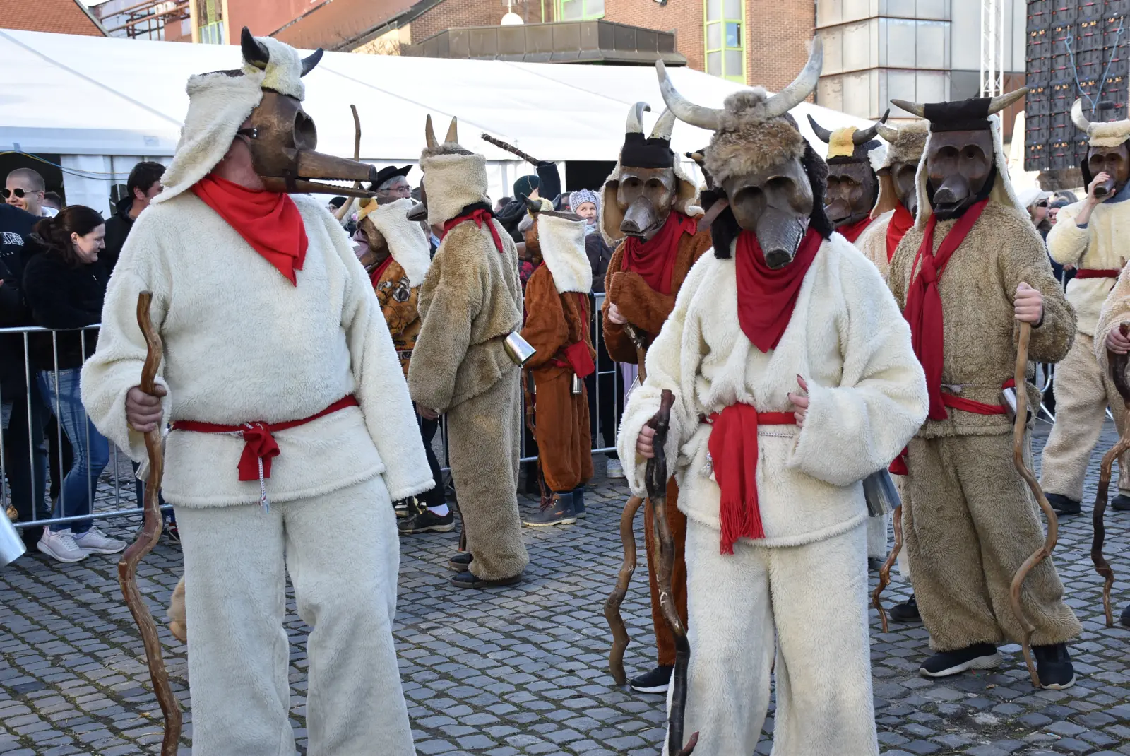 Međimurski fašnik, Čakovec, 2.2.25 (69)