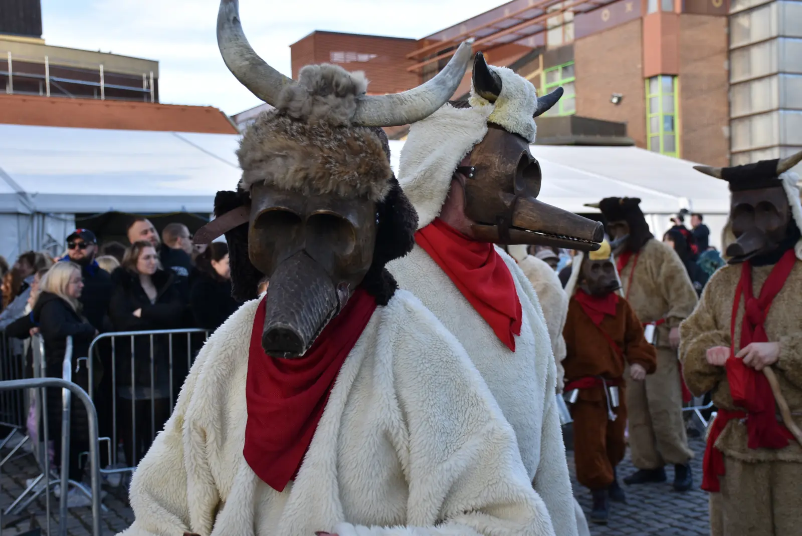 Međimurski fašnik, Čakovec, 2.2.25 (70)