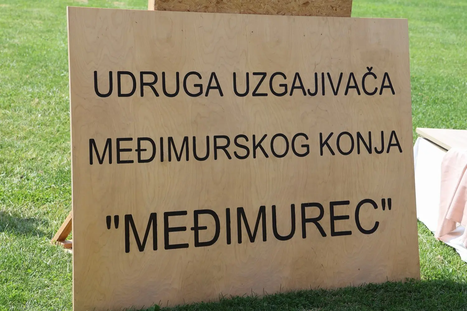 Medimurski-konj-7 Medimurski-konj-7