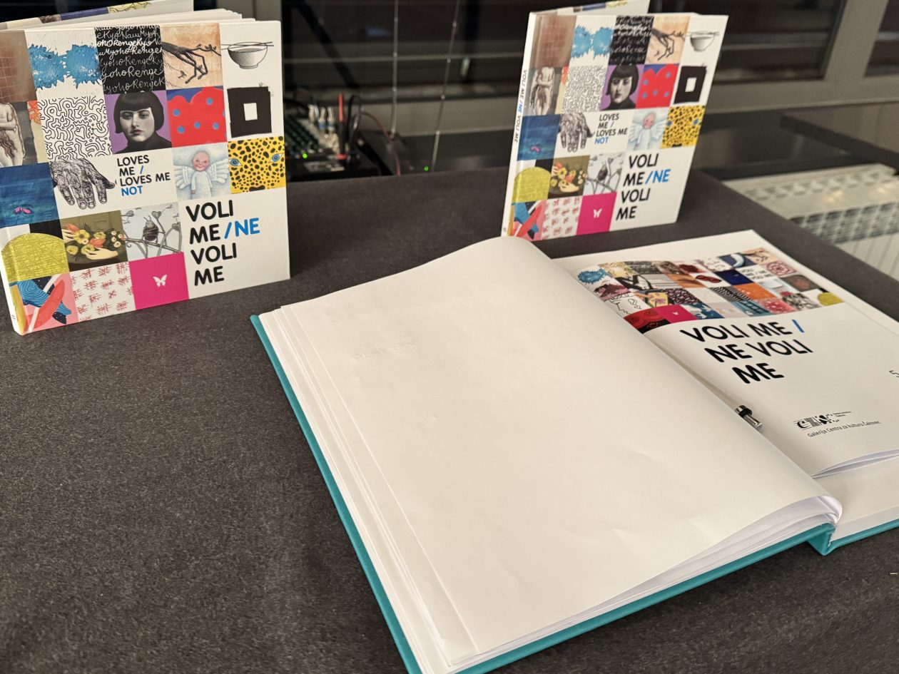 Međunarodna izložba Voli me Ne voli me (2)