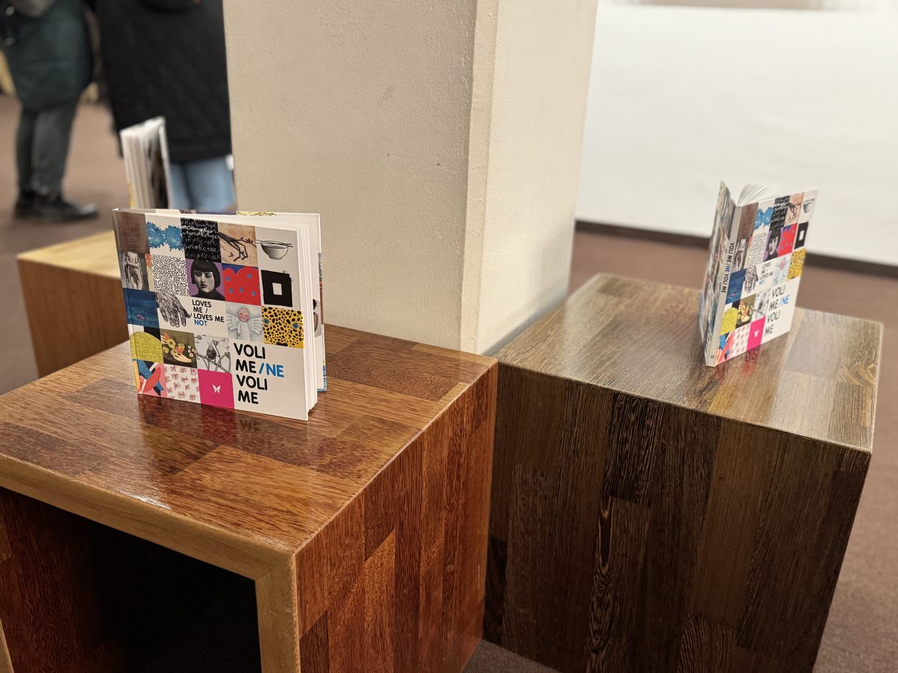 Međunarodna izložba Voli me Ne voli me (4)